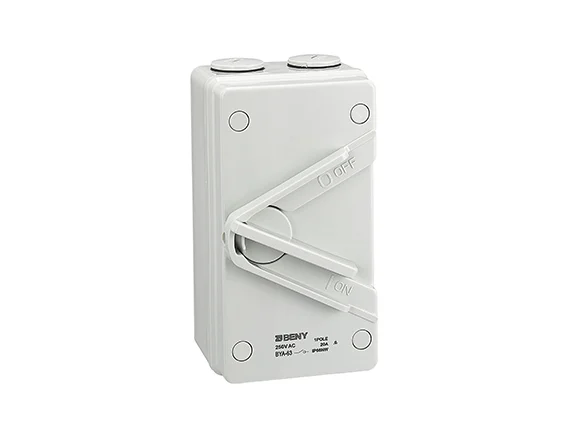 Beny AC Isolator BYA-63 2P